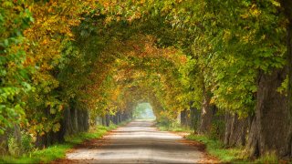 Kezdő fotós tanfolyam