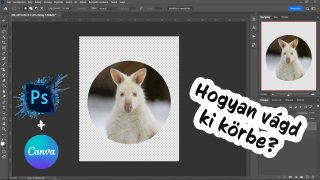Kör alakú vágás Photoshopban és Canvában